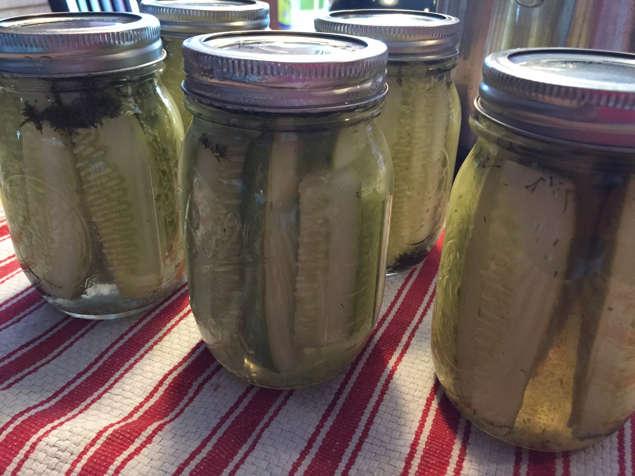 Pickle Ribbb Blue Ribbon Dill Pickles - Rave About Food