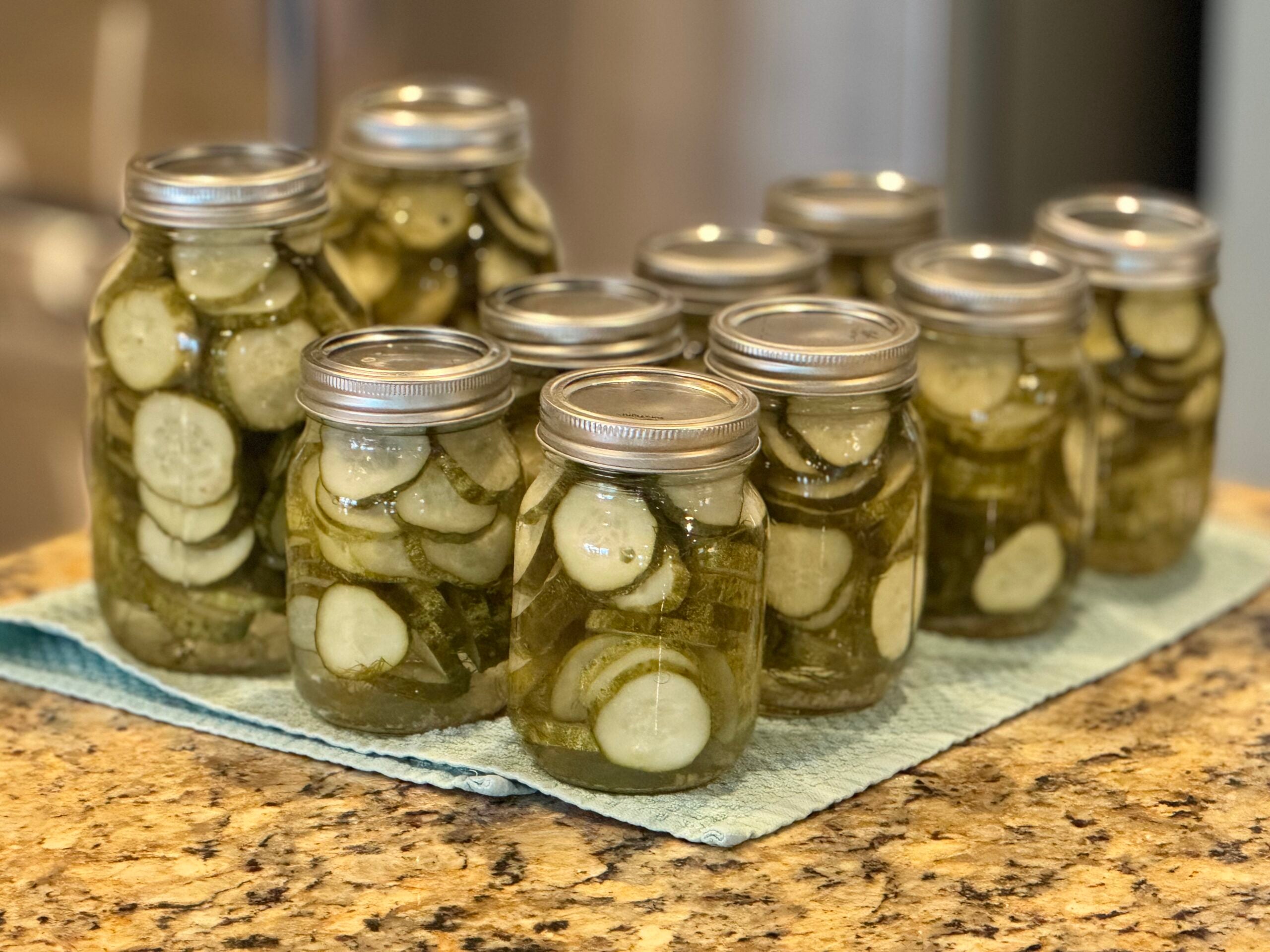 Pickle Ribbb Blue Ribbon Dill Pickles - Rave About Food