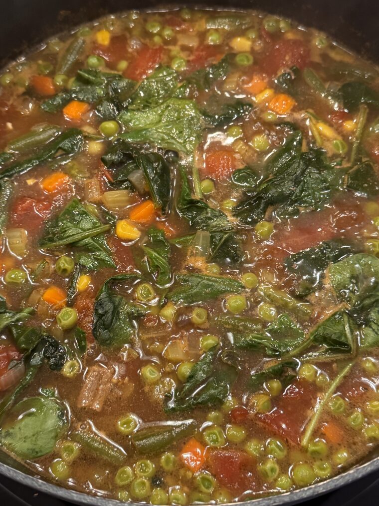 Beef and Bowtie Pasta Soup