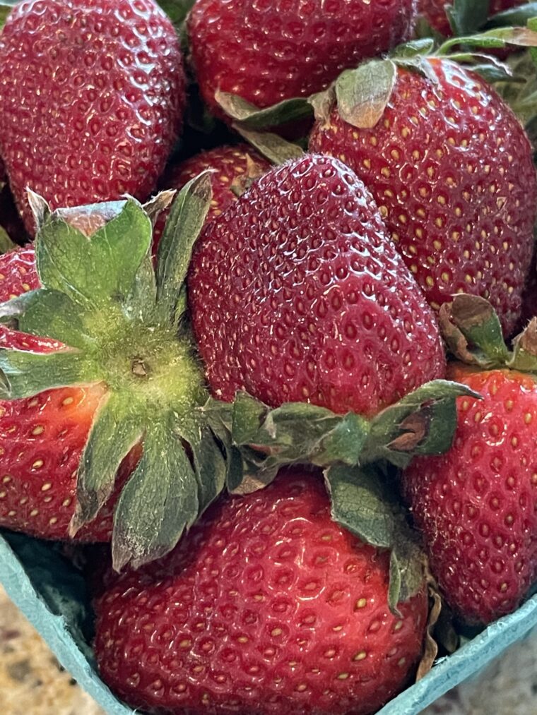 Fresh Picked Strawberries